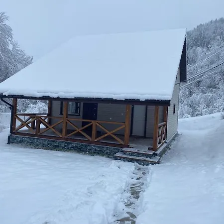 Σαλέ медові карпати *