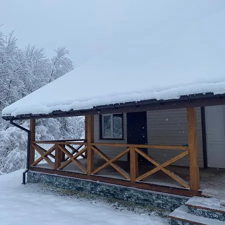 медові карпати Dağ evi