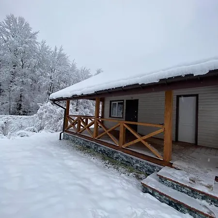 медові карпати