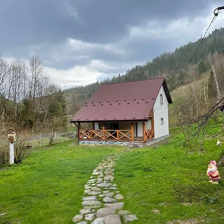 медові карпати
