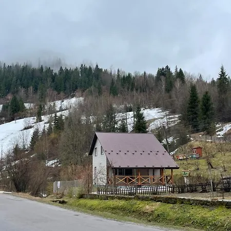 Σαλέ медові карпати *