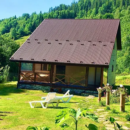 медові карпати *