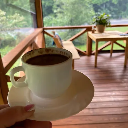 медові карпати * Oryavchyk