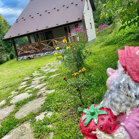 медові карпати *