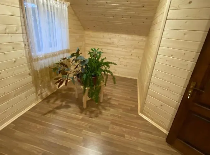 медові карпати *