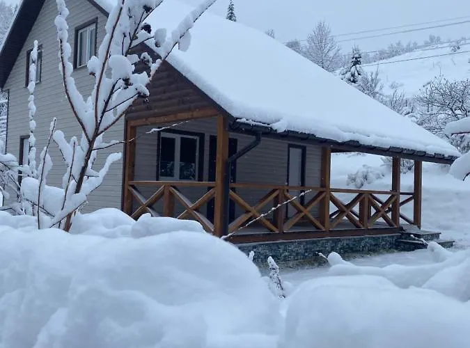 медові карпати Chalet Oryavchyk