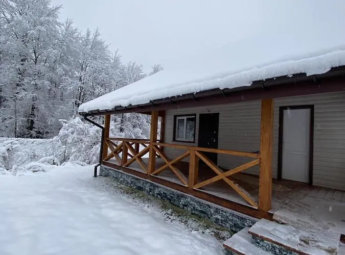 медові карпати