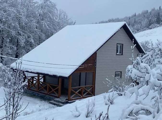 Chalet медові карпати Oryavchyk