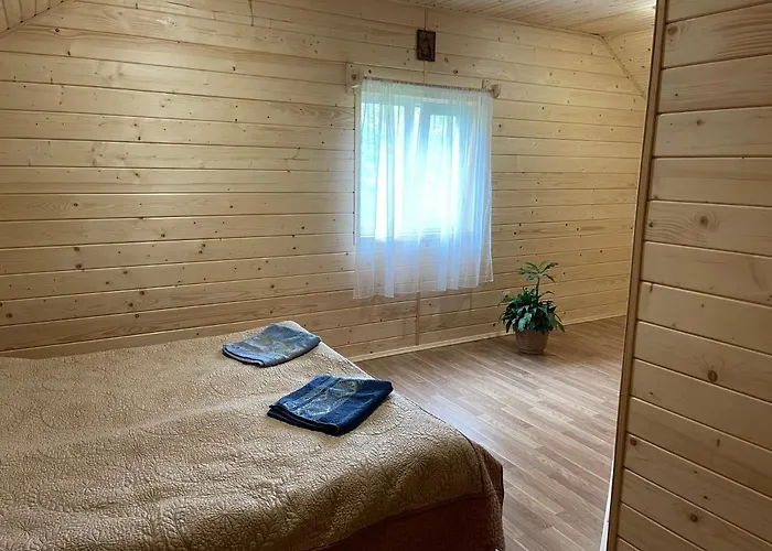 медові карпати *