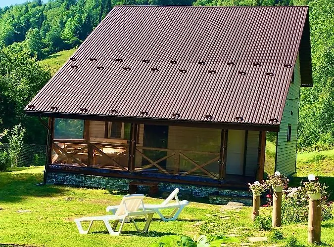медові карпати *